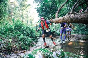 BIB: 
                            <button type="button" onclick="openModal(25436657)" class="btn btn-primary btn-sm float-right btn-popup" data-toggle="modal" data-target=".modal-high-quality">
                        <i class="fas fa-shopping-cart"></i> Add to Cart
                    </button>
                                            <button type="button" onclick="isThisMe(25436657, true)" class="btn btn-success btn-sm float-right btn-popup btn-isme hidden" data-toggle="tooltip" data-placement="bottom" title="นี่คือรูปของคุณใช่ไหม คลิกที่นี่เพื่อเอาเข้าอัลบั้ม">
                        <i class="fas fa-plus"></i> Add to album
                    </button>
                    <button type="button" onclick="isThisMe(25436657, false)" class="btn btn-warning btn-sm float-right btn-popup btn-isnotme hidden">
                        <i class="fas fa-ban"></i> Remove from album
                    </button>